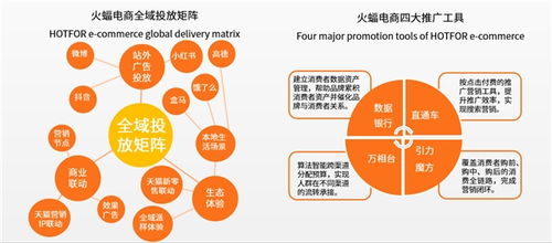 新增長點再現(xiàn) 品牌電商2025年市場規(guī)模將近5000億元