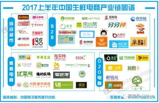 電商 2017年 上 中國電子商務(wù)市場數(shù)據(jù)監(jiān)測報告